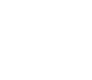 Логотип мебельной фабрики SaEn